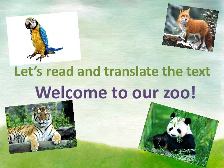 Let’s read and translate the text Welcome to our zoo!