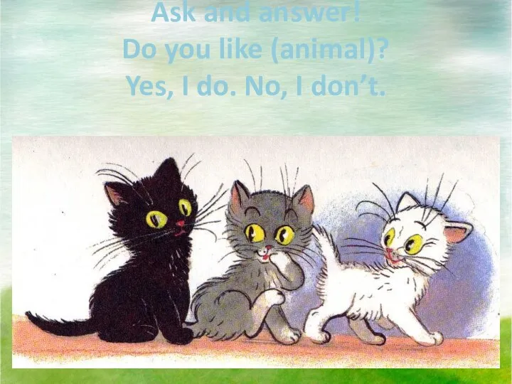 Ask and answer! Do you like (animal)? Yes, I do. No, I don’t.