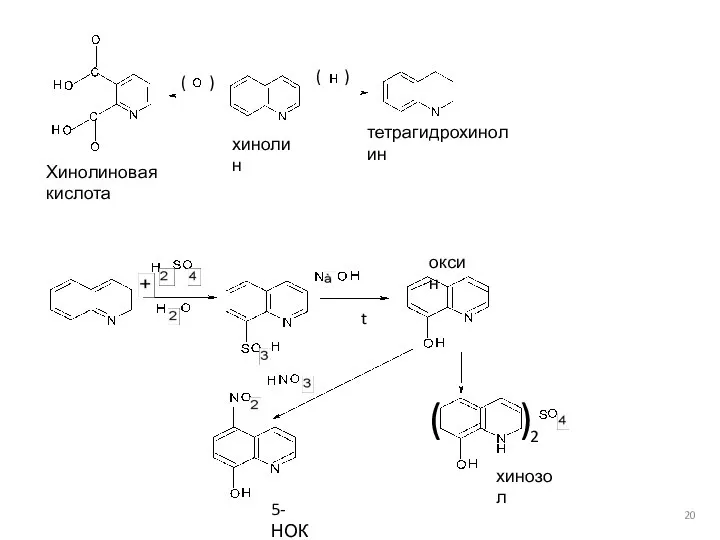 Хинолиновая кислота хинолин тетрагидрохинолин t оксин ( ) ( ) ( ) 2 хинозол 5-НОК