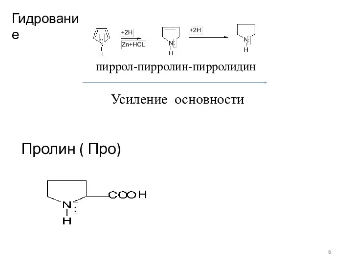 пиррол-пирролин-пирролидин Усиление основности Пролин ( Про) Гидрование