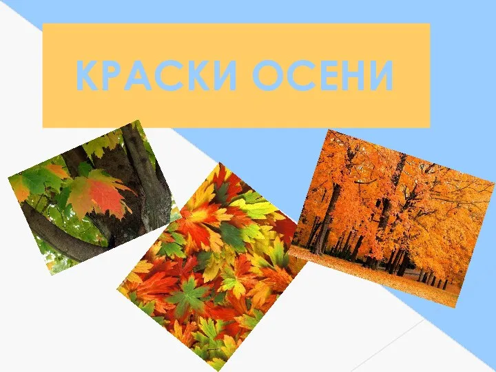 КРАСКИ ОСЕНИ