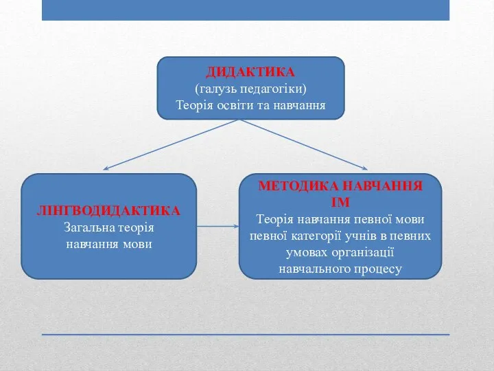 ДИДАКТИКА (галузь педагогіки) Теорія освіти та навчання ЛІНГВОДИДАКТИКА Загальна теорія навчання