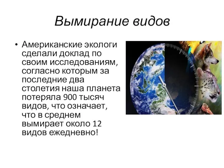 Вымирание видов Американские экологи сделали доклад по своим исследованиям, согласно которым