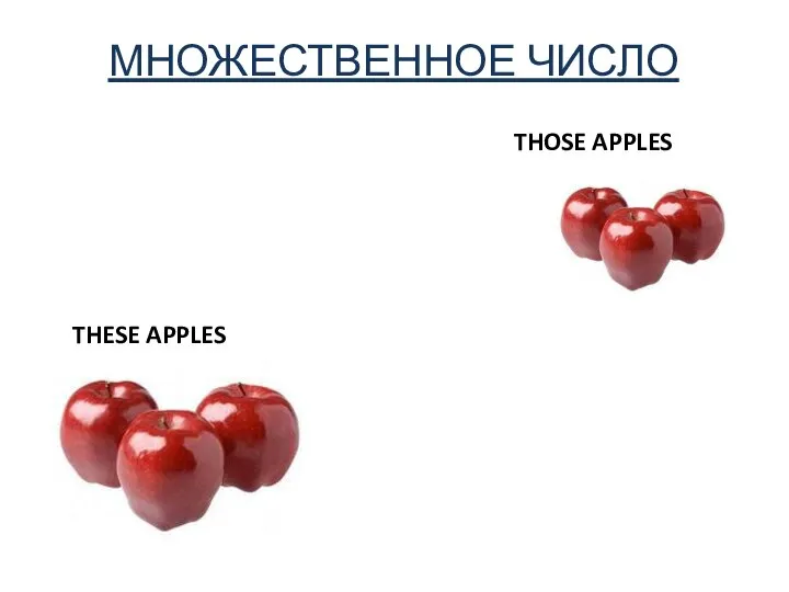 МНОЖЕСТВЕННОЕ ЧИСЛО THESE APPLES THOSE APPLES