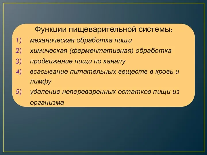 Функции пищеварительной системы: механическая обработка пищи химическая (ферментативная) обработка продвижение пищи