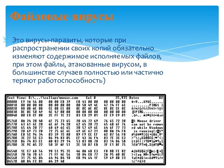 Файловые вирусы Это вирусы-паразиты, которые при распространении своих копий обязательно изменяют