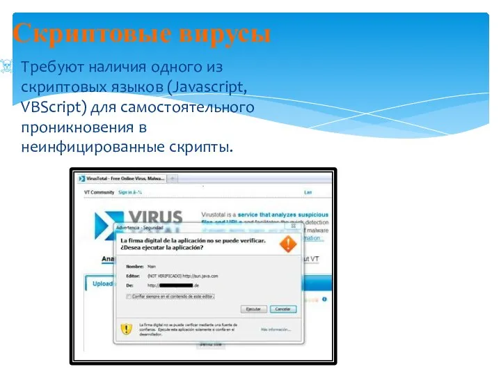 Скриптовые вирусы Требуют наличия одного из скриптовых языков (Javascript, VBScript) для самостоятельного проникновения в неинфицированные скрипты.