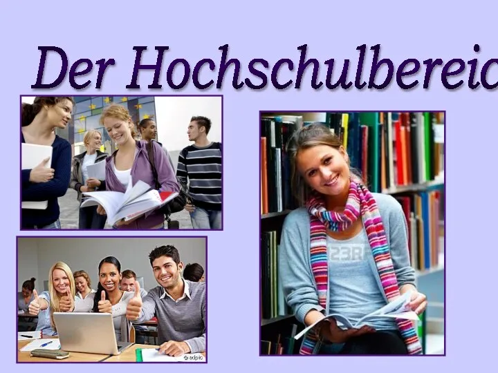 Der Hochschulbereich