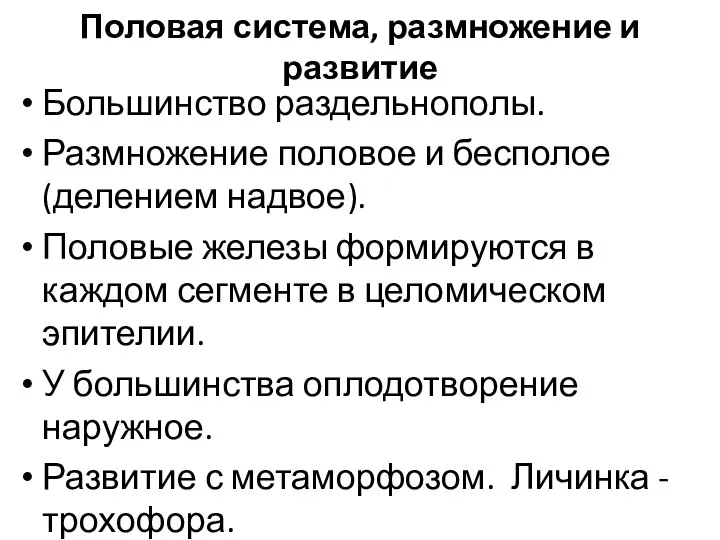 Половая система, размножение и развитие Большинство раздельнополы. Размножение половое и бесполое