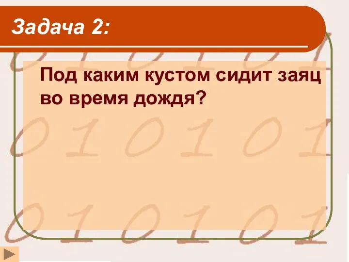 Задача 2: Под каким кустом сидит заяц во время дождя?