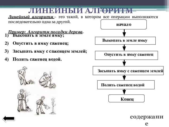 Линейный алгоритм – это такой, в котором все операции выполняются последовательно