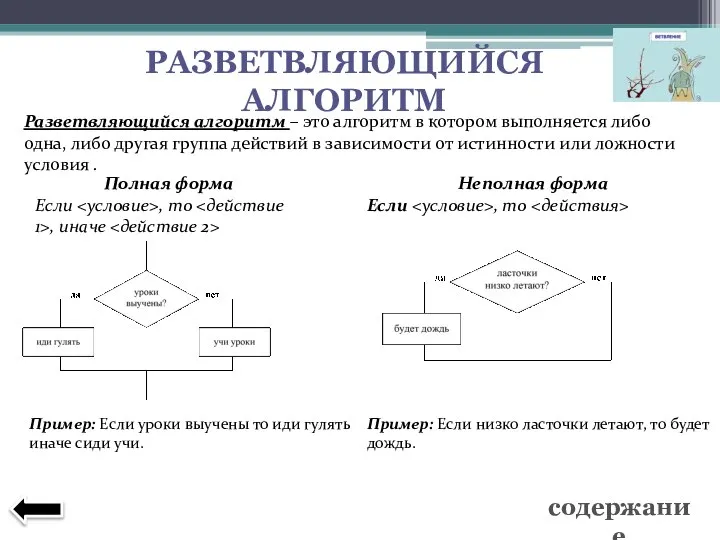 Разветвляющийся алгоритм – это алгоритм в котором выполняется либо одна, либо