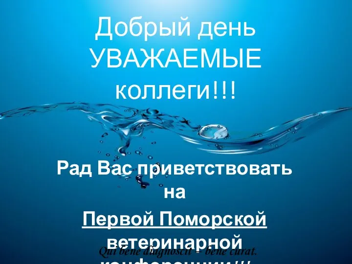 Добрый день УВАЖАЕМЫЕ коллеги!!! Рад Вас приветствовать на Первой Поморской ветеринарной