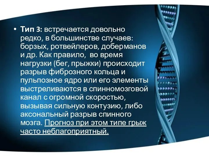 Тип 3: встречается довольно редко, в большинстве случаев: борзых, ротвейлеров, доберманов