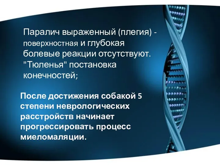 Паралич выраженный (плегия) - поверхностная и глубокая болевые реакции отсутствуют. "Тюленья"