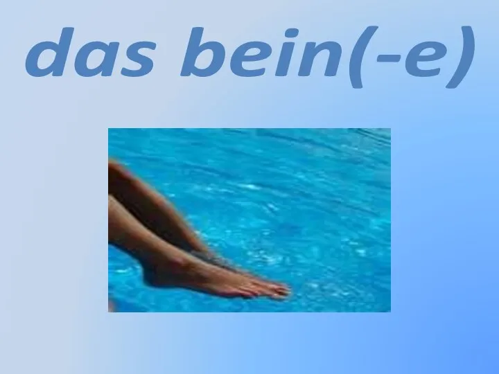 das bein(-e)