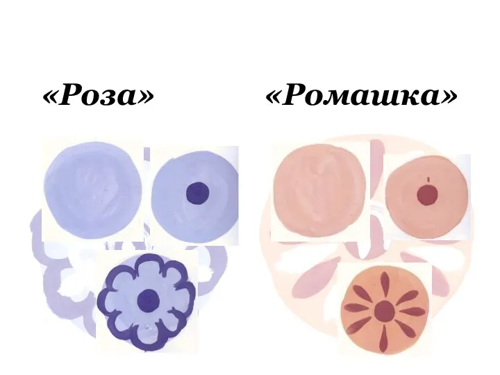 «Роза» «Ромашка»