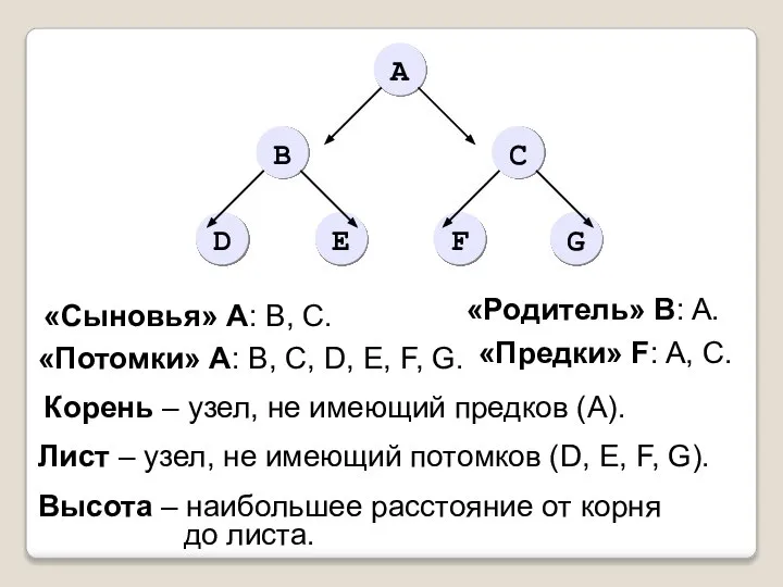 «Сыновья» А: B, C. «Родитель» B: A. «Потомки» А: B, C,