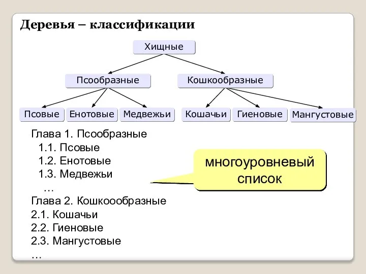 Деревья – классификации Глава 1. Псообразные 1.1. Псовые 1.2. Енотовые 1.3.