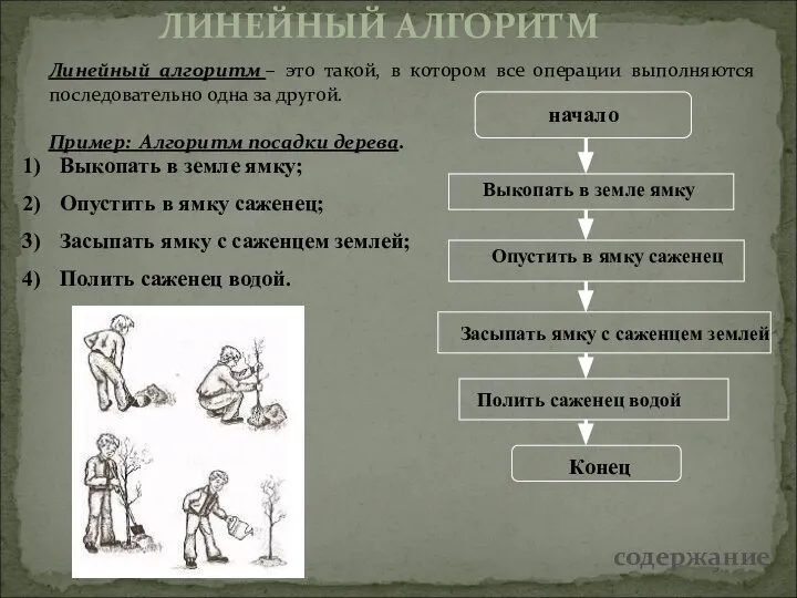 Линейный алгоритм – это такой, в котором все операции выполняются последовательно