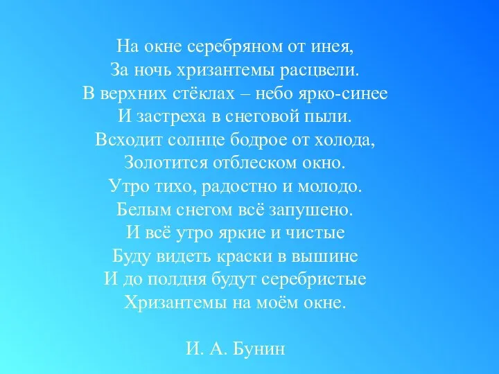 На окне серебряном от инея, За ночь хризантемы расцвели. В верхних