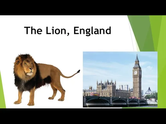 The Lion, England