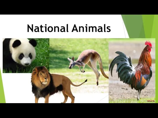 National Animals