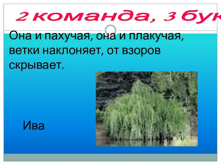 3 тур «Составь слово, используя заглавные буквы» Она и пахучая, она