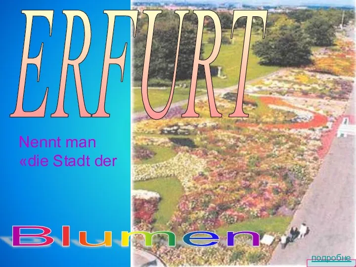 ERFURT Nennt man «die Stadt der Blumen подробнее