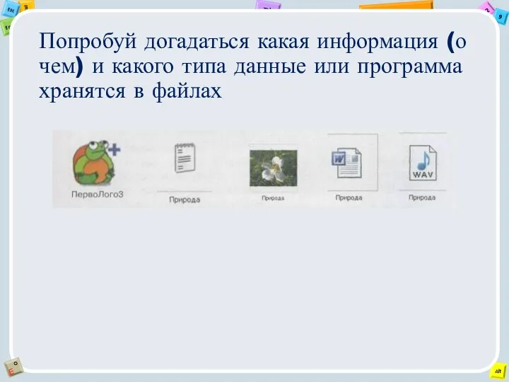 Попробуй догадаться какая информация (о чем) и какого типа данные или программа хранятся в файлах