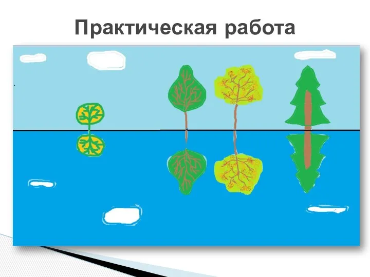 Практическая работа