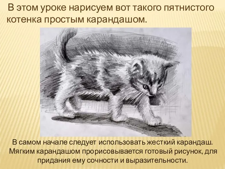 В этом уроке нарисуем вот такого пятнистого котенка простым карандашом. В