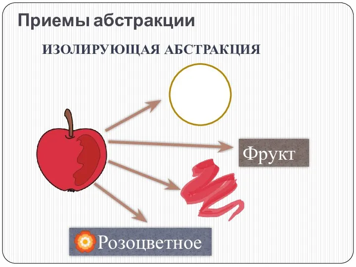 Приемы абстракции ИЗОЛИРУЮЩАЯ АБСТРАКЦИЯ Фрукт ?Розоцветное