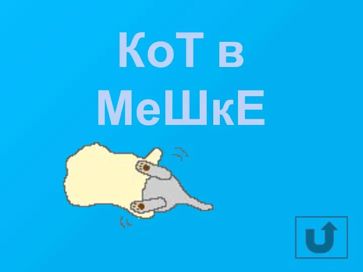 КоТ в МеШкЕ