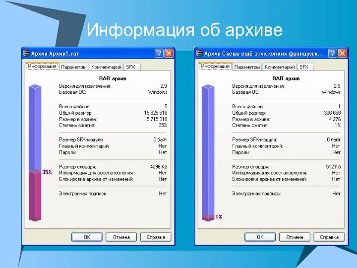 Информация об архиве