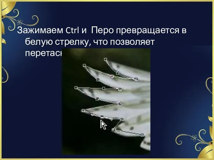 Зажимаем Ctrl и Перо превращается в белую стрелку, что позволяет перетаскивать точку.