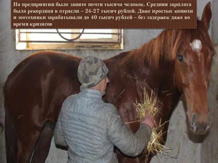 На предприятии было занято почти тысяча человек. Средняя зарплата была рекордная