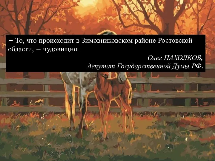 – То, что происходит в Зимовниковском районе Ростовской области, – чудовищно