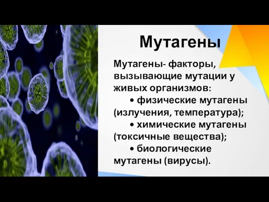 Мутагены- факторы, вызывающие мутации у живых организмов: • физические мутагены (излучения,