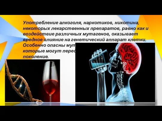 Употребление алкоголя, наркотиков, никотина, некоторых лекарственных препаратов, равно как и воздействие