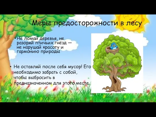 Меры предосторожности в лесу Не ломай деревья, не разоряй птичьих гнёзд