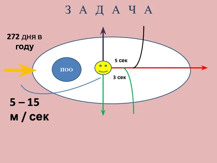 З А Д А Ч А ПОО 272 дня в году