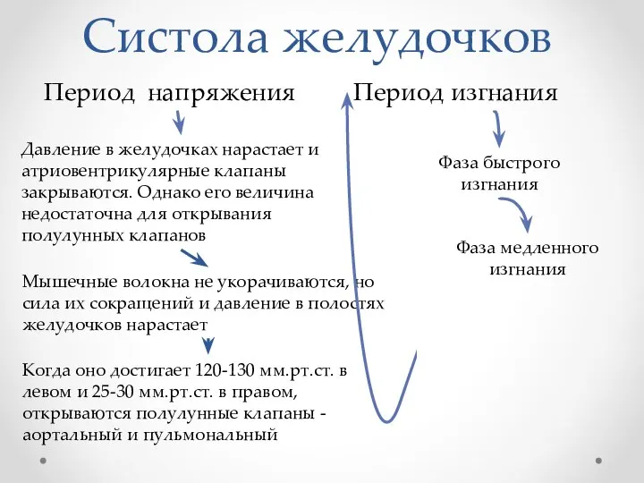 Систола желудочков Период напряжения Период изгнания Давление в желудочках нарастает и