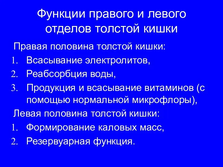 Функции правого и левого отделов толстой кишки Правая половина толстой кишки: