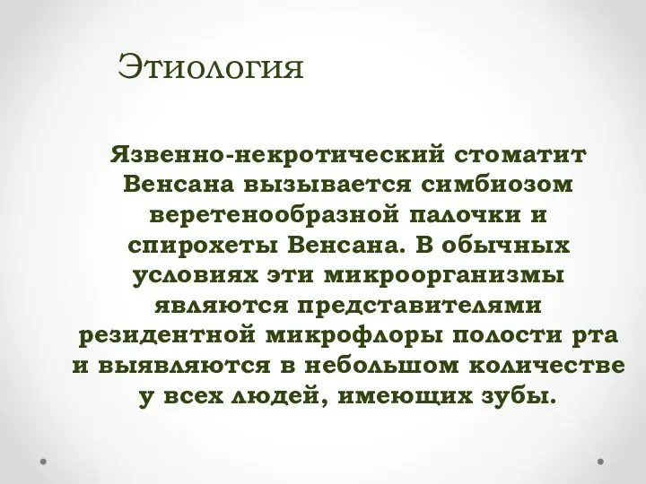 Этиология Язвенно-некротический стоматит Венсана вызывается симбиозом веретенообразной палочки и спирохеты Венсана.