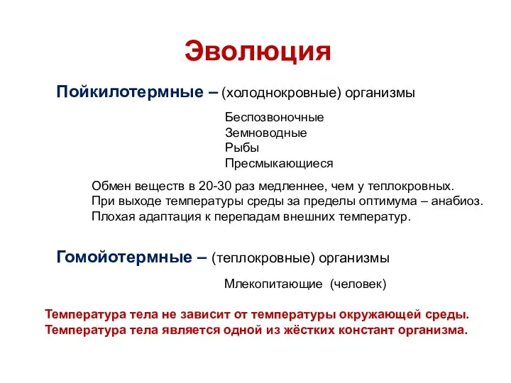 Пойкилотермные – (холоднокровные) организмы Гомойотермные – (теплокровные) организмы Эволюция Беспозвоночные Земноводные