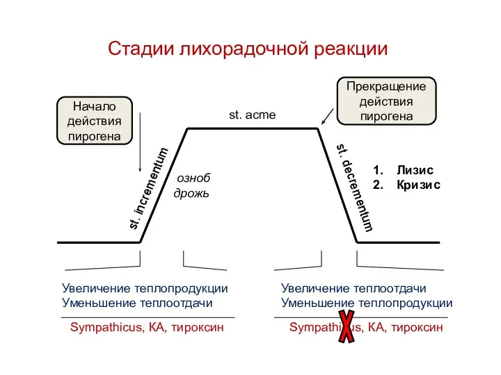 Стадии лихорадочной реакции st. incrementum st. acme st. decrementum озноб дрожь