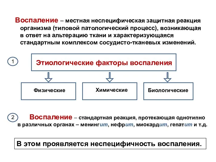 Воспаление – местная неспецифическая защитная реакция организма (типовой патологический процесс), возникающая