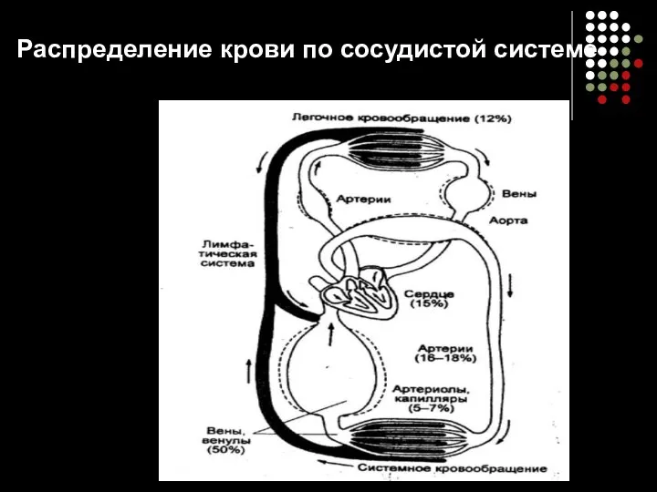 Распределение крови по сосудистой системе