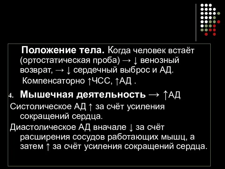 Положение тела. Когда человек встаёт (ортостатическая проба) → ↓ венозный возврат,